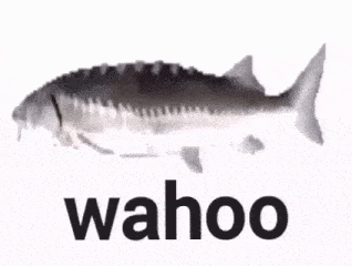 Exploding brain gif